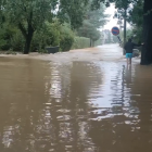 zdjęcie nr 46