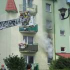 zdjęcie nr 8