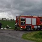 Fotka nr 2 z 11