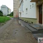 Fotka nr 5 z 6