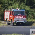 zdjęcie nr 85