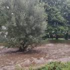 Rzeka Świdna w Dziewiętlicach 