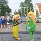 zdjęcie nr 13