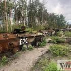 Fotka nr 4 z 17