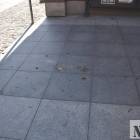 zdjęcie nr 14