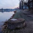 zdjęcie nr 8