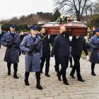 zdjęcie nr 7