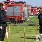 Fotka nr 1 z 78