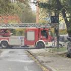 Fotka nr 2 z 4