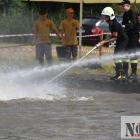 zdjęcie nr 178