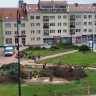 zdjęcie nr 13