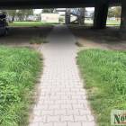 Fotka nr 1 z 4
