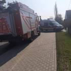 Fotka nr 1 z 5