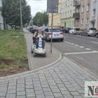 Fotka nr 0 z 2