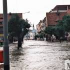 zdjęcie nr 11