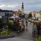 zdjęcie nr 23