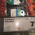 Fotka nr 2 z 3