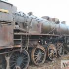 Fotka nr 4 z 20