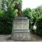 zdjęcie nr 9