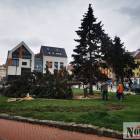 zdjęcie nr 11