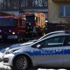 Fotka nr 2 z 7