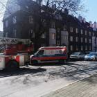 Fotka nr 2 z 3
