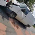 Fotka nr 3 z 4