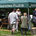 zdjęcie nr 51