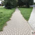 Fotka nr 2 z 4