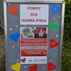 Fotka nr 3 z 23