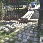 zdjęcie nr 13