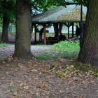 zdjęcie nr 15