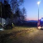 Fotka nr 1 z 2