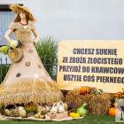 zdjęcie nr 9