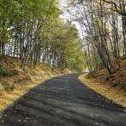 DP 1633 O Jodłów-Łąka