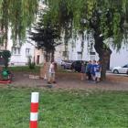 zdjęcie nr 9