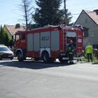 Fotka nr 5 z 12