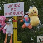 zdjęcie nr 42