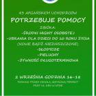 Fotka nr 0 z 1