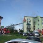 Fotka nr 4 z 11