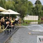 zdjęcie nr 40