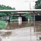 zdjęcie nr 115