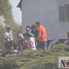 zdjęcie nr 43