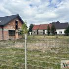 Fotka nr 2 z 3
