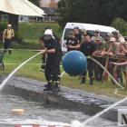 zdjęcie nr 7