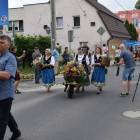 zdjęcie nr 15