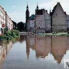 zdjęcie nr 76