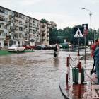 zdjęcie nr 142