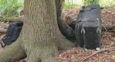 Grzybiarz znalazł zwłoki przywiązane do drzewa