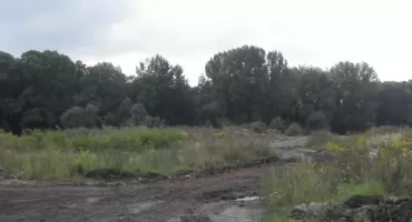 Powstanie biometanownia? 